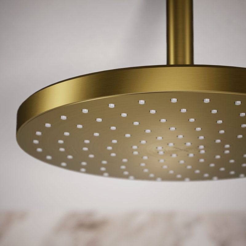 Flood Fixed Shower Head, Vibrant Brushed Moderne Brass