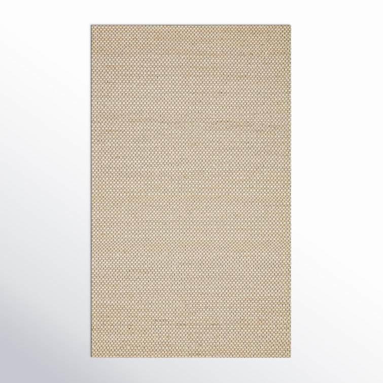 Abisai Checkered Indoor Rug