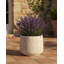 Pot Planter