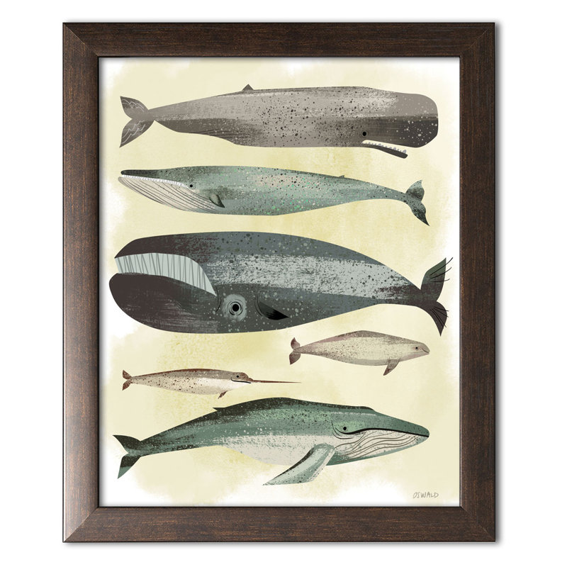 « baleines », impression, Papier avec cadre brun, H 16 po x l 12 po x P 0,75 po
