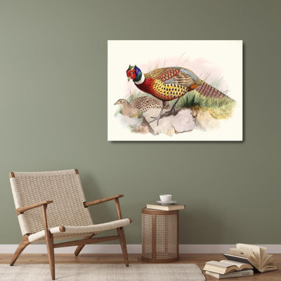 "Phasianus Torquatus" by  Joseph Smit - Gallery Wrap Canvas Wall Art