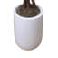 Faux Cherry Blossom Tree Plant in Fiberstone-1470986132