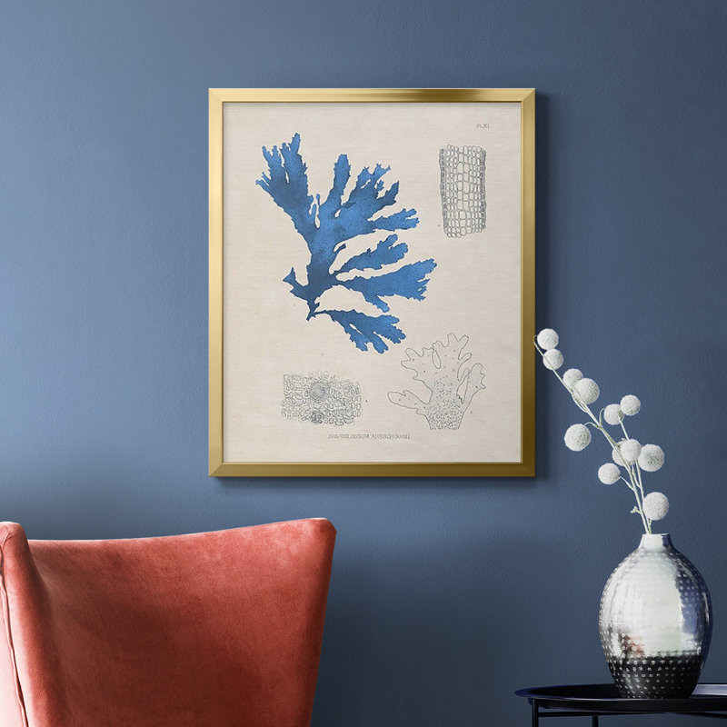 «Blue Marine Algae», toile encadrée de qualité supérieure - prête à être accrochée, Or, H 24 po x l 20 po