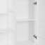 Tenenbaum Bathroom Cabinet