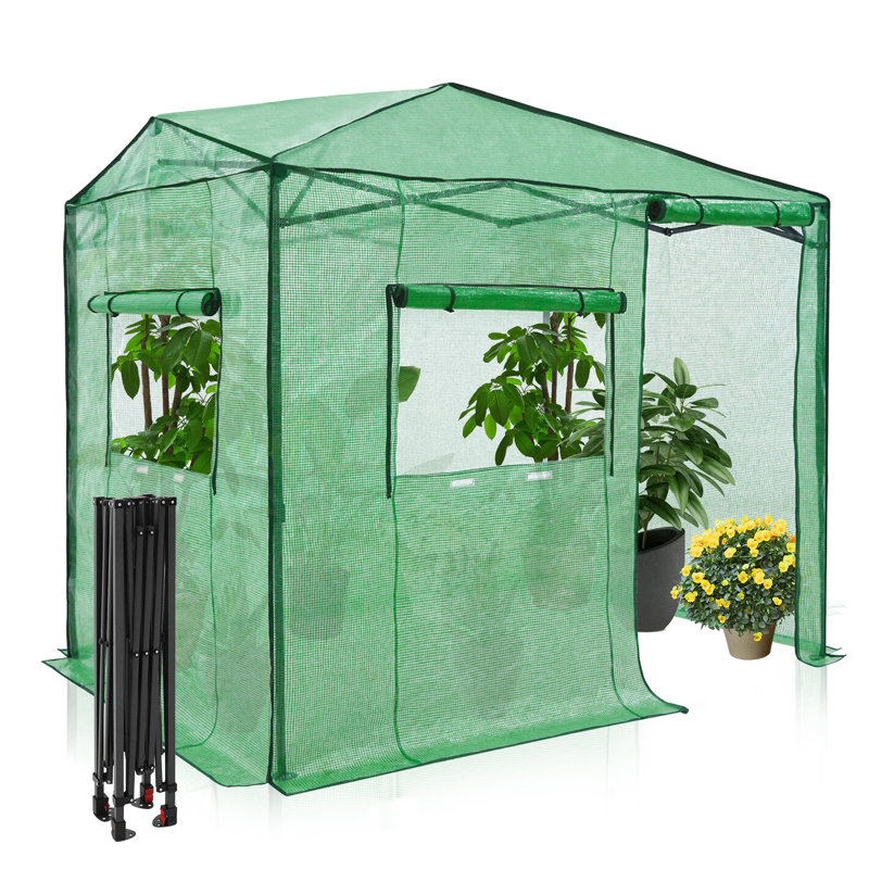 Serre de jardin portative instantanée 8 pi x 6 pi Pop Up Greenhouse