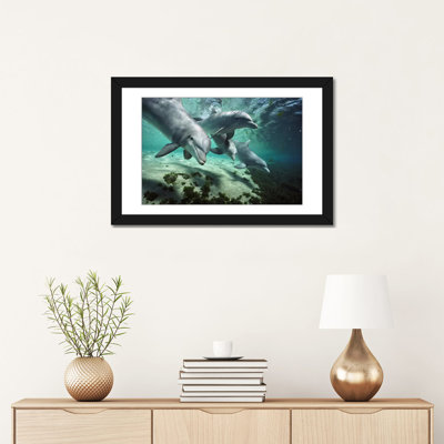 « bottlenose dauphin pod, hawaii », reproduction de photo sur toile