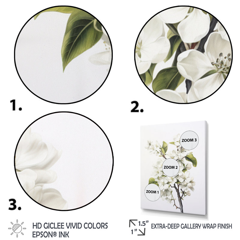 Apple Blossom Monochromatic Elegance XXVII - Floral Wall Art Living Room, H 32 po x l 16 po x P 1 po, Toile tendue
