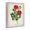 «Vivid Red Geranium Blossoms», art de la giclée encadrée, design par Danielle Murray