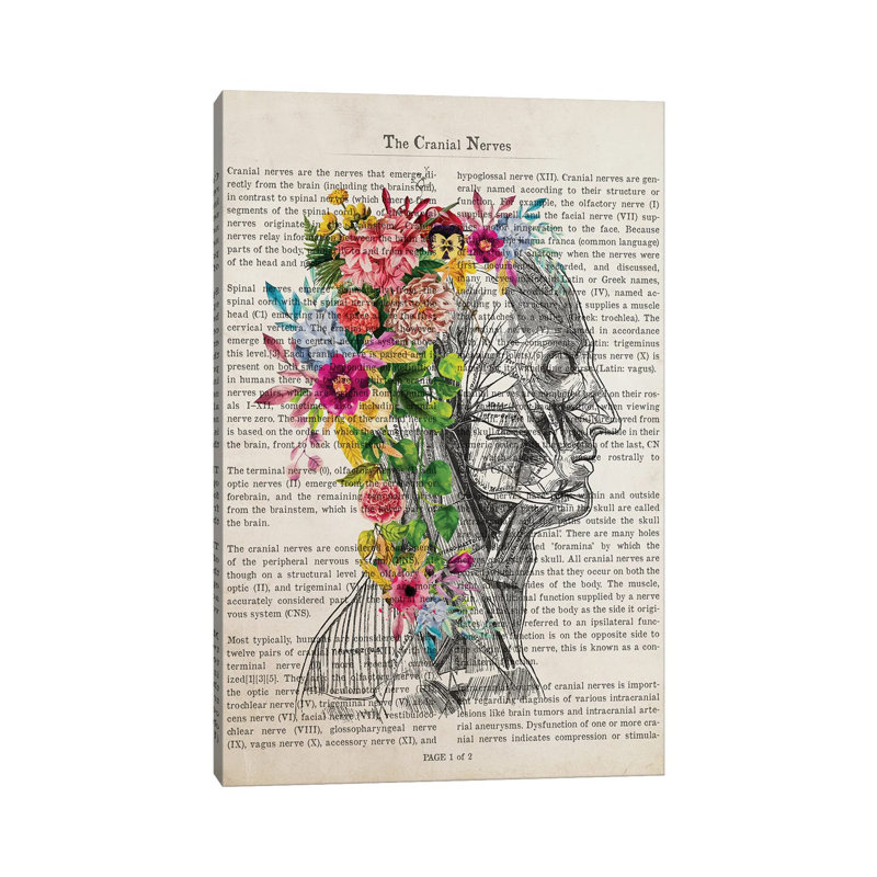 Cranial Nerves Flower Anatomy Print - Wrapped Canvas Print, 60" H x 40" W x 1.5" D
