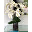 Blooming Orchid in Vase-931651924