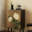 Armoire de rangement pour la maison