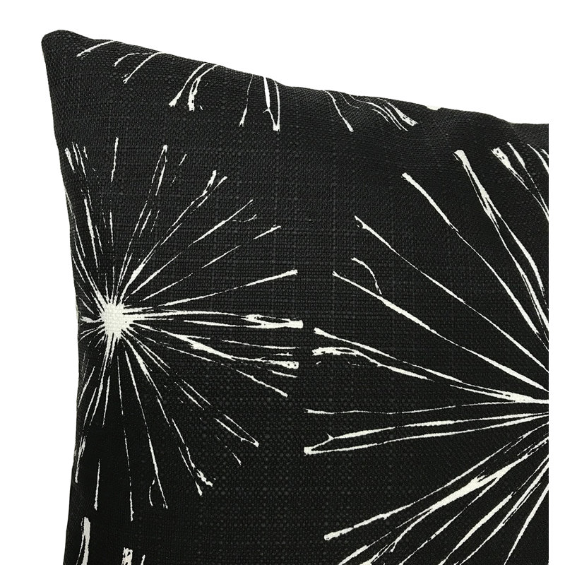 Coussin intérieur / extérieur Sparks Sparks, 20 po x 20 po, Noir