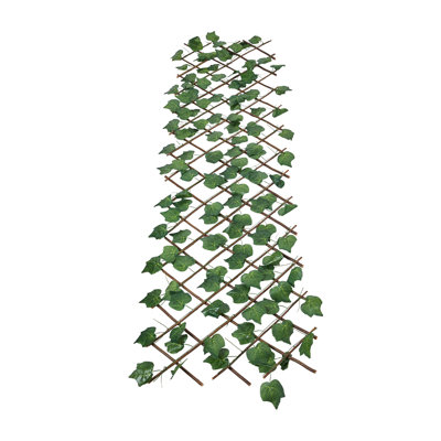 Plastic；Wood Folding