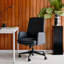 Softside Chair-479178072-479178079-487388011