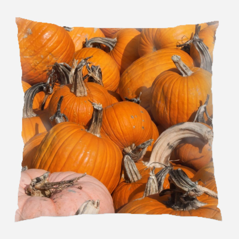  Coussin décoratif intérieur / extérieur Pumpkin