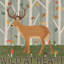 «Woodland Joy V» par Véronique Charron, reproduction sur toile tendue-561125116-569889715-569889727
