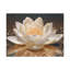 Magnifique fleur blanche sur toile de lotus-1940606070