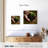 Senne New Seedling Sprouting-109231701