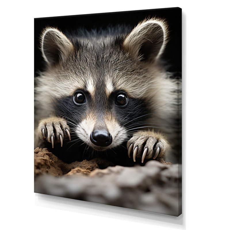Animal raton laveur - reproduction d'art mural, H 20 po x l 12 po x P 1 po, Toile tendue