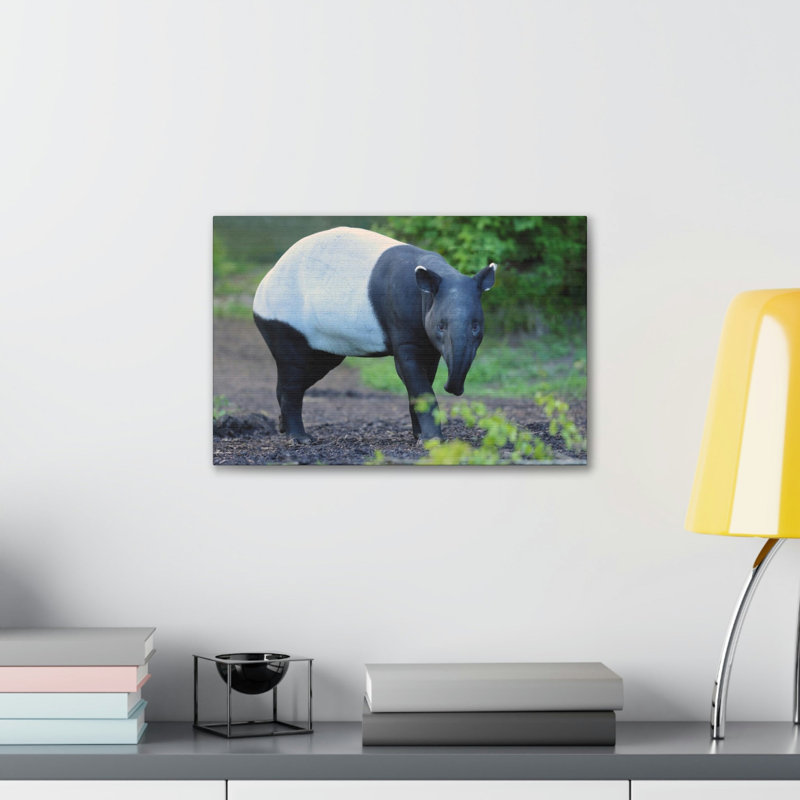 No Frame Print on Canvas, 11cm H x 14cm W