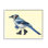 «Blue Jay Bird Combat bottes», bande rétro, giclée, art texturé par Amelie Legault