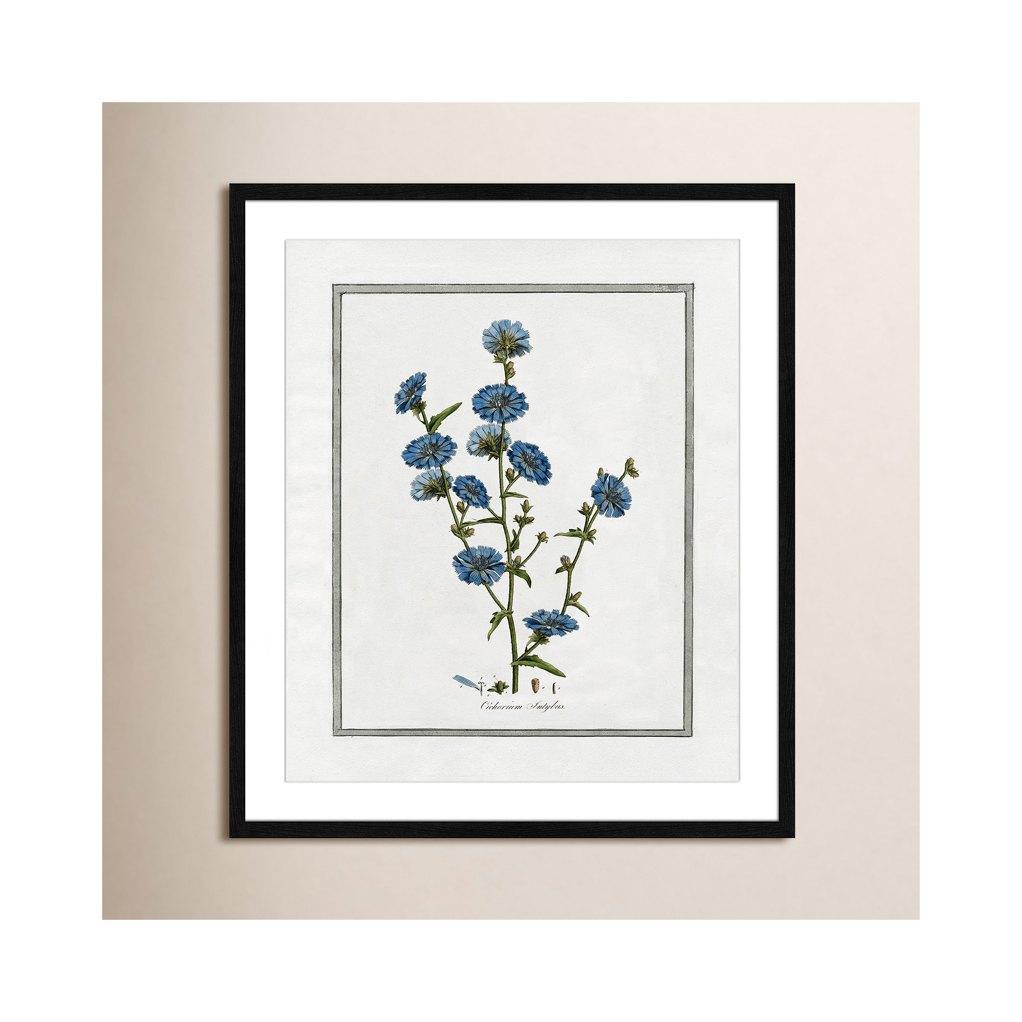 Soft Botanical I - Framed Art Full Bleed, Black Framed, 21.5" W x 25.5" H