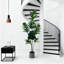 Plant-1491015265