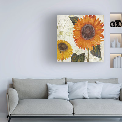 Art sur toile, «BBQ Sasha Sundresses»