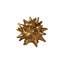 Oursin-28075746-64029206