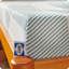 Sealy Dreamlife 8” Medium-Firm Foam Mattress-in-a-Box-99280861