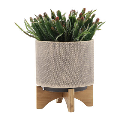 Support à plante en céramique brun clair avec trous de drainage et support - pour plantes grasses