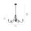 Lustre 5 lumières Freesia 31,2 pouces en fer enclume avec accents blancs-70048078