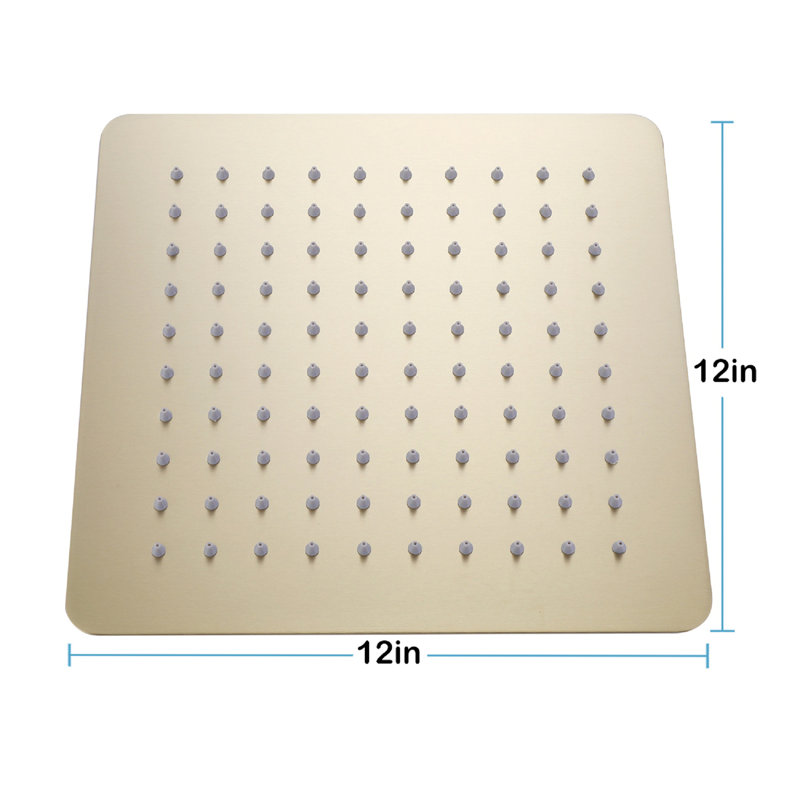 Rain Adjustable Shower Head 2.0 GPM GPM, Brushed Gold