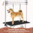 Pet Grooming Table with Loop Noose and Mesh Tray-114364589