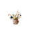 Tackussanu Senegal Capsule Seagrass Decorative Basket