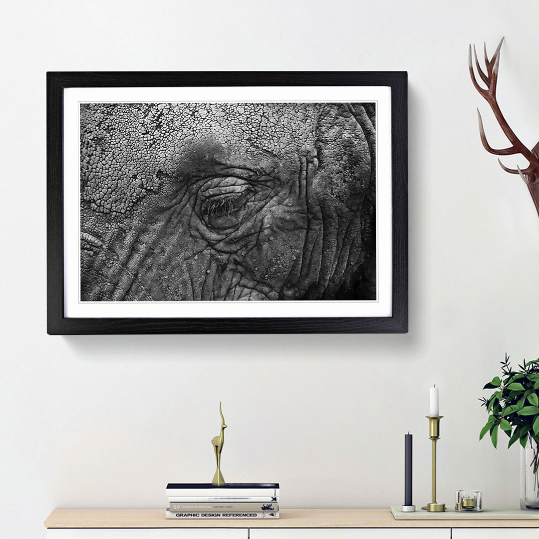 Elephant - Picture Frame Graphic Art Print