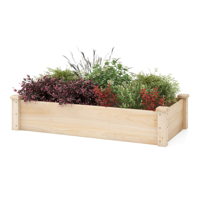 Planter Box