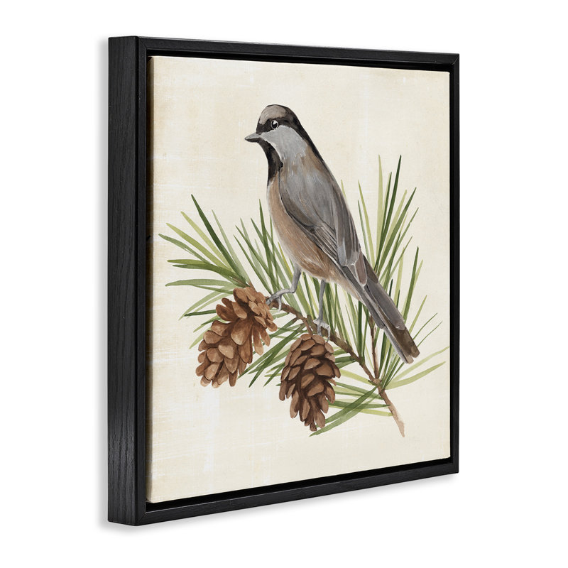 Oiseau sur pin, Cadre flottant noir de jais, H 18 po x l 18 po