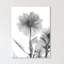 Dahlia Twins - Wrapped Canvas Print-1845520373