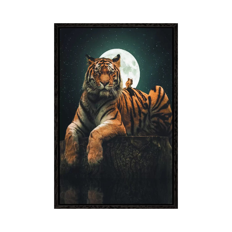Tiger Squirrel by Zenja Gammer - Print on Canvas, Black Framed, 66.04 cm H x 45.72 cm W