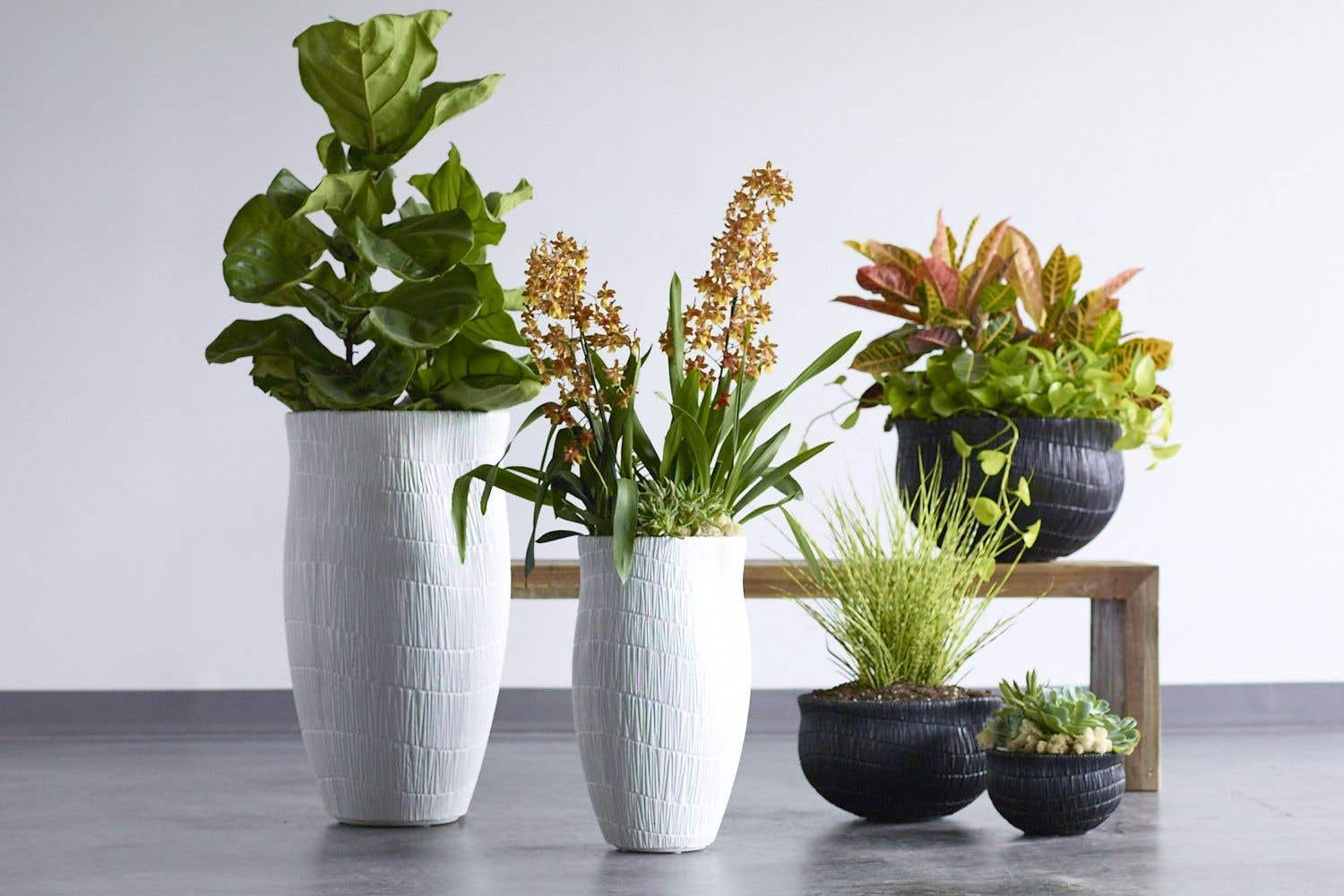 17" Handmade Concrete Pot Planter