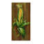 'Ear Of Corn' Acrylic Painting Print on Wrapped Canvas-30360921