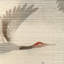 Kravet Design - W4205-619-93416047