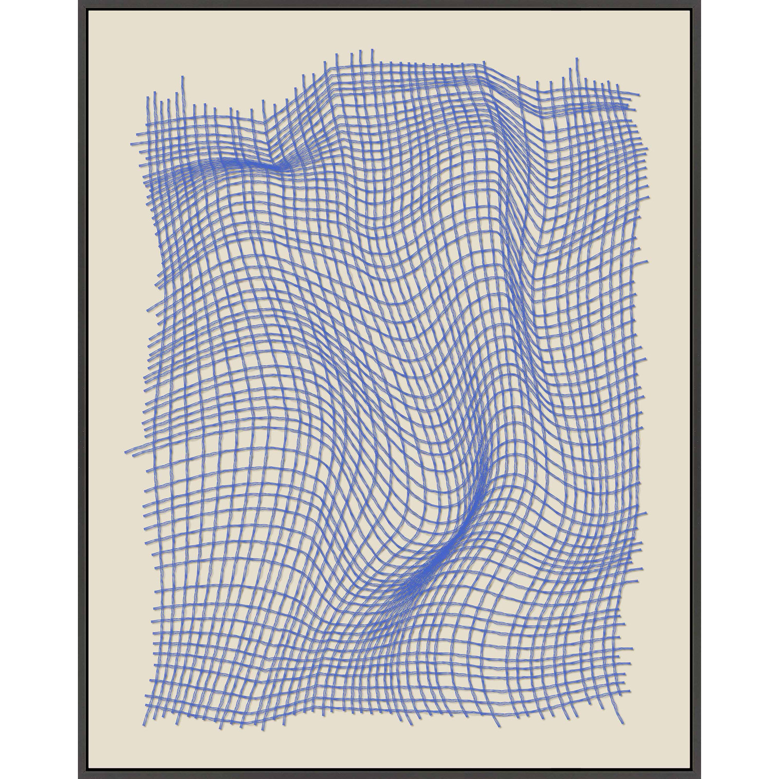 Netting 2 Print by Jacques Pilon, Black Single Structure Framed Canvas, 38" H x 30" W x 1.25" D