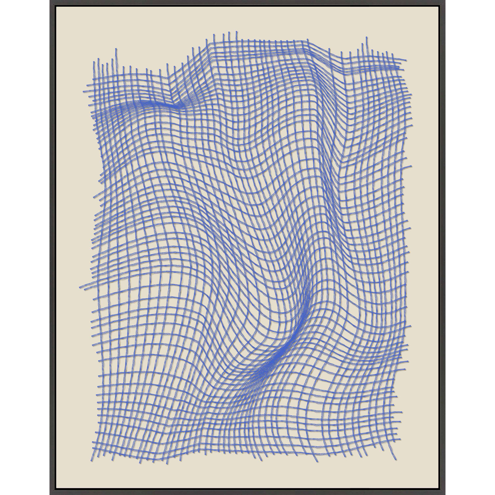 Netting 2 Print by Jacques Pilon, Black Single Structure Framed Canvas, 30" H x 24" W x 1.25" D