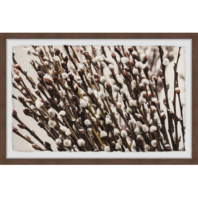 Cotton Flowers - Single Picture Frame Painting