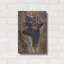 «Curious Cubs» par Collin Bogle, art mural en métal »par Collin Bogle-692437950