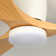 Karlena 48'' 3 - Blade Flush Mount Dimmable Ceiling Fan With Led Lights and Remote Control