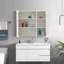 Aadhith Wall Mounted Required Bathroom Cabinet