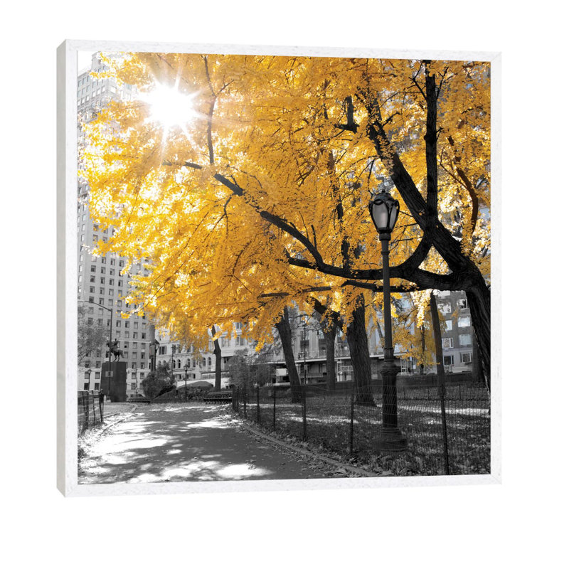 Park Pretty by Amanda J. Brooks - Print on Canvas, White Framed, 152.5 cm H x 101.5 cm W